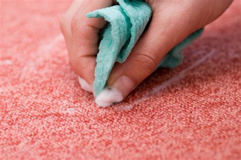 How To Clean Entire Carpet Without Machine | www.resnooze.com