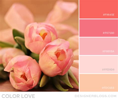 Color Love | Tulip Pink & Peach - Online Free courses Central