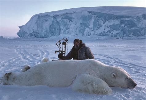 Canadian Arctic Polar Bear Hunt - Ameri-Cana Expeditions
