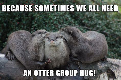 26 Otter Memes That Are Way Too Funny For Words | Otters, Otter meme, Funny