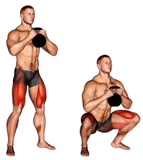 Goblet Squat vs Front Squat - Differences, Which is Better?