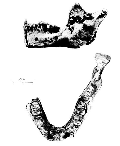 Djebel Irhoud - Wikipedia, la enciclopedia libre