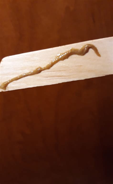 Rope Worm Theories – Rope Worms – What are They? Tape Worm In Humans, Parasitic Worms, Slime ...