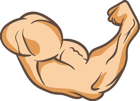 Cartoon Muscle Arm - Muscle Clipart Cartoon Arm Clipartmag | Bodemawasuma