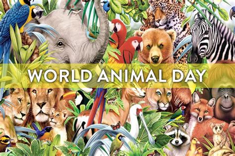 9 Ways To Celebrate World Animal Day! - SPCA Selangor