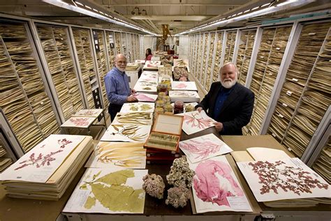 inside the archives: storage at the smithsonian natural history museum