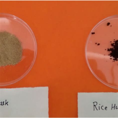 Rice Husk and treated Rice Husk Ash. | Download Scientific Diagram