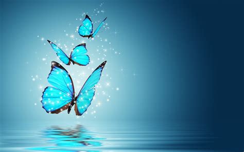 Blue Butterfly Wallpaper HD Free Download