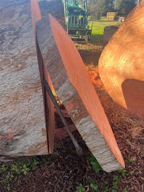 Redgum slabs - Miscellaneous - Redesdale, Victoria, Australia | Facebook Marketplace