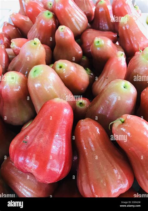 Pile of Red Jambu fruit , chambakka in Malayalam , Syzygium ...