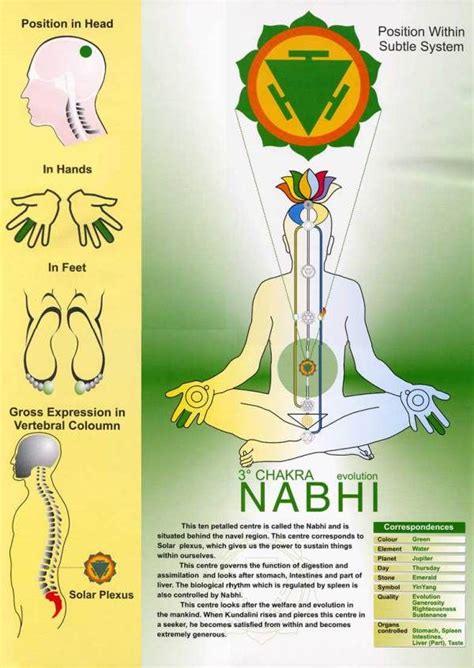 Pin on The Nabhi Chakra