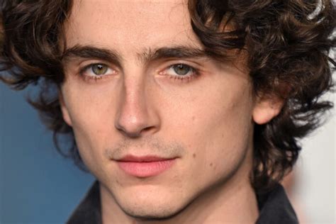 Timothee Chalamet Net Worth: A Look into The Prosperity of a Rising Star alcase.org