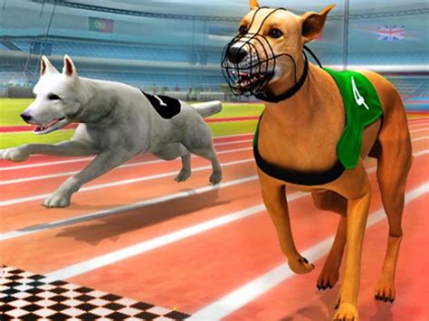 REAL DOG RACING SIMULATOR 3D - Play REAL DOG RACING SIMULATOR 3D on Humoq