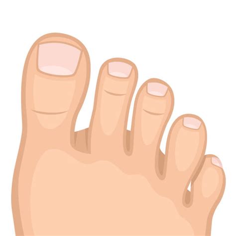 Big Toe Illustrations, Royalty-Free Vector Graphics & Clip Art - iStock