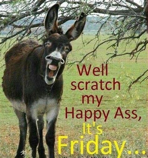 BEST Friday Memes for the End of the Week | Morning quotes funny, Its friday quotes, Friday ...