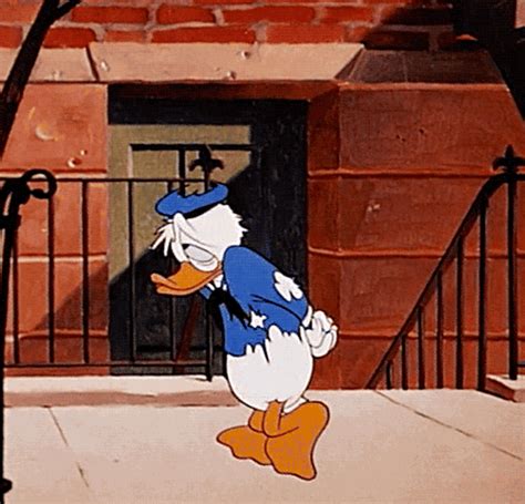 donald’s double trouble donald duck gif | WiffleGif