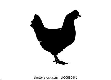 Chicken Silhouette