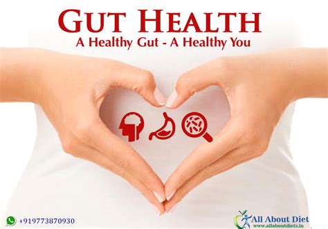 Gut-Health - All About Diet l Best Dietitian in Bandra l Weight loss ...