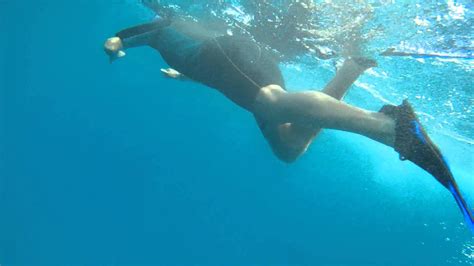 Wild Dolphin swim in Kona Hawaii! - YouTube