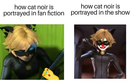 Cat noir memes 8 | Miraculous Amino