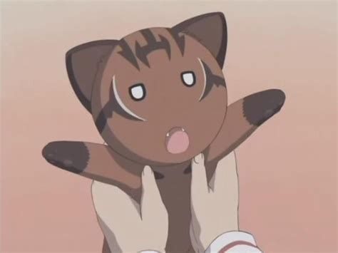 Maya the Iriomote cat from Azumanga Daioh. | Cute anime cat, Azumanga daioh, Anime character names