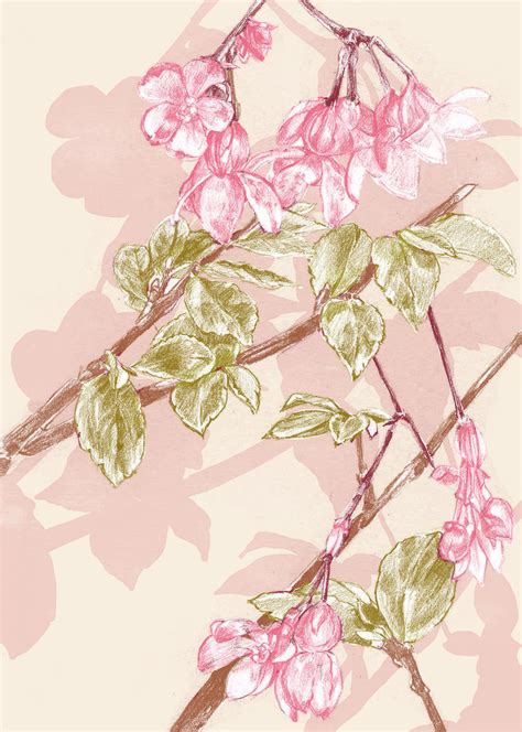 Flower sketch by Eachy-Peachy on DeviantArt