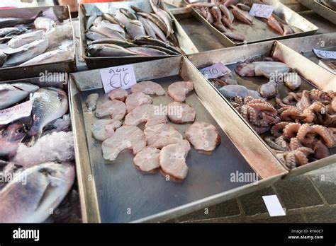 Selection of fresh caught fishes and seafood on Marsaxlokk local market ...