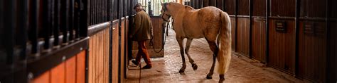 Así debe ser el establo ideal para tu caballo