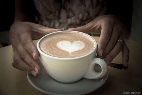 Love | Flickr - Photo Sharing! Best Coffee Creamer, Sugar Free Coffee Creamer, Leaner Creamer ...