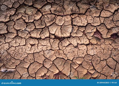 Cracks in the Dry Ground Background Stock Image - Image of surface ...