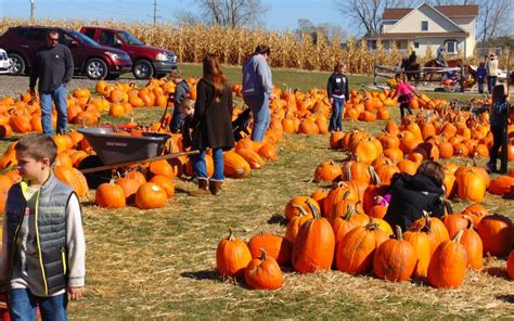 4 West Michigan Fall Time events! | Port Pediatric Dentistry