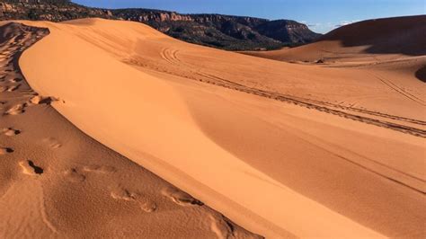 Is Coral Pink Sand Dunes Worth Visiting? (Things to Do) - We're in the ...