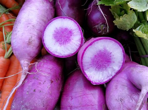 15 Purple Vegetables You Need to Grow