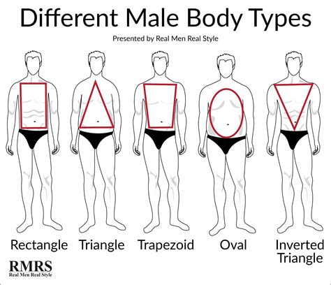 Pin by Rylie 🍵☕️🧋🫣 on Clothing types | Types of body shapes, Dressing your body type, Body types