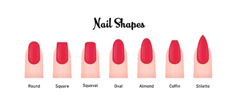 Comprehensive Guide to Nail Shapes - Are You Fashion