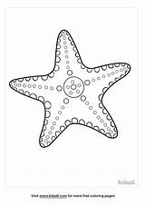 Starfish Coloring sketch template