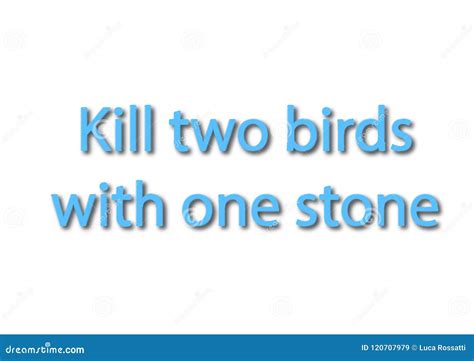 Illustration Idiom Write Kill Two Birds with One Stone Isolated Stock ...