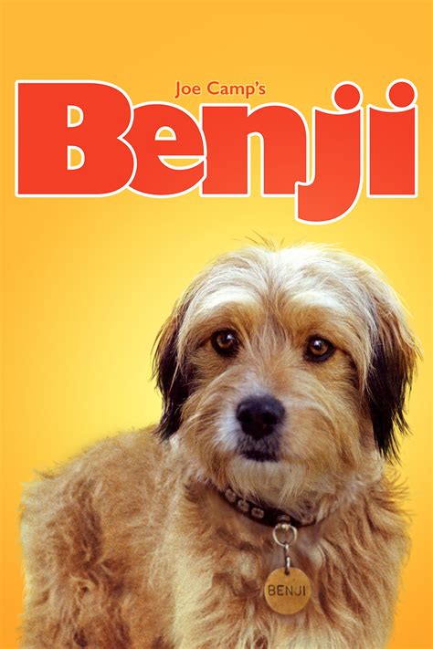 Benji (1974) - Posters — The Movie Database (TMDB)