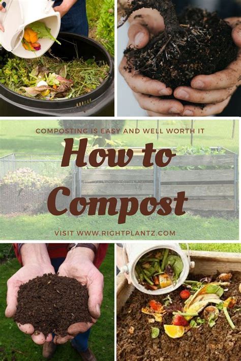 Composting 101 : RightPlantz.com | Organic vegetable garden, Organic ...