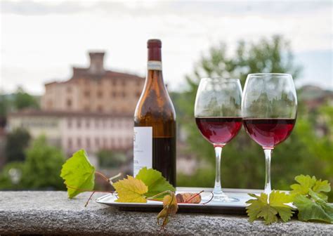10 Best Italian Red Wine Types- Red Wines in Italy | Italy Best