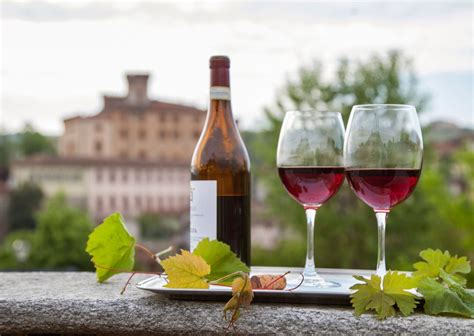 10 Best Italian Red Wine Types- Red Wines in Italy | Italy Best