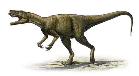 Herrerasaurus | NatureRules1 Wiki | Fandom