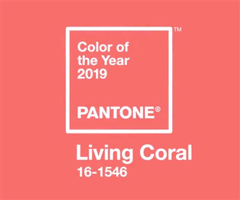 Pantone Colour of the Year 2019 - Living Coral | Tuscan design, Pantone color, Pantone
