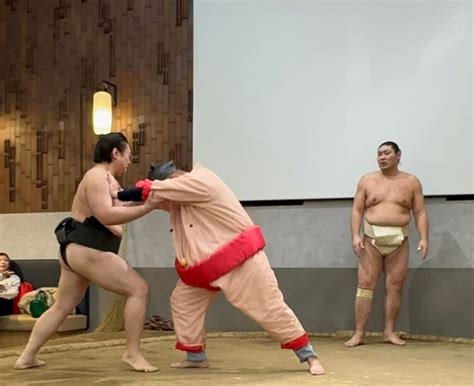 How To Watch Sumo Training Practice In Tokyo