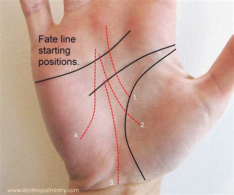 Fate Line Missing on the Palm? Don't Stress. - Destiny Palmistry