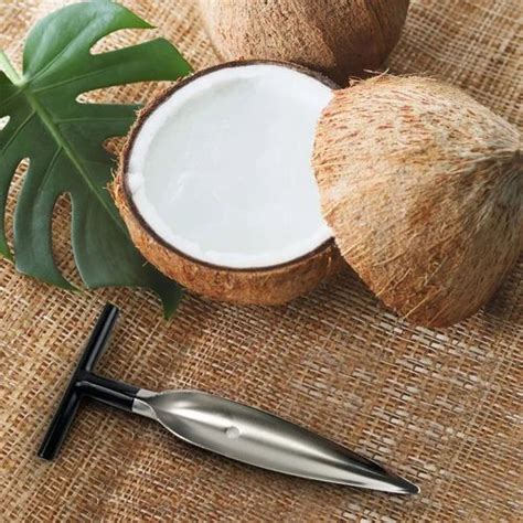 Green Coconut Opener at Rs 60/piece | Tender Coconut Opener in Thane ...