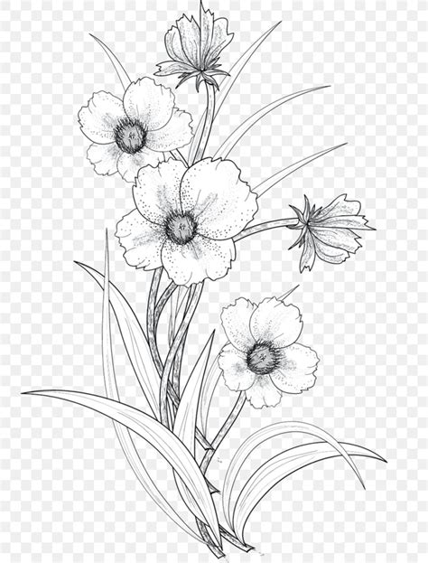 Drawing Flower Line Art, PNG, 741x1079px, Drawing, Art, Artwork, Black And White, Cut Flowers ...