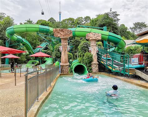 Maximise Your Visit to Adventure Cove Waterpark Singapore