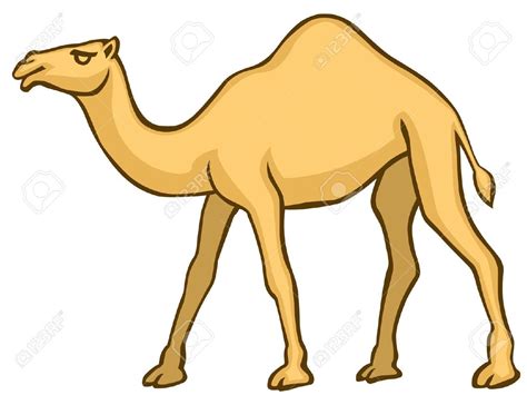 Camel clipart camel uae, Camel camel uae Transparent FREE for download on WebStockReview 2024