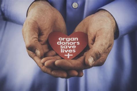 Can Elderly Donate Organs? - Whealthmatch